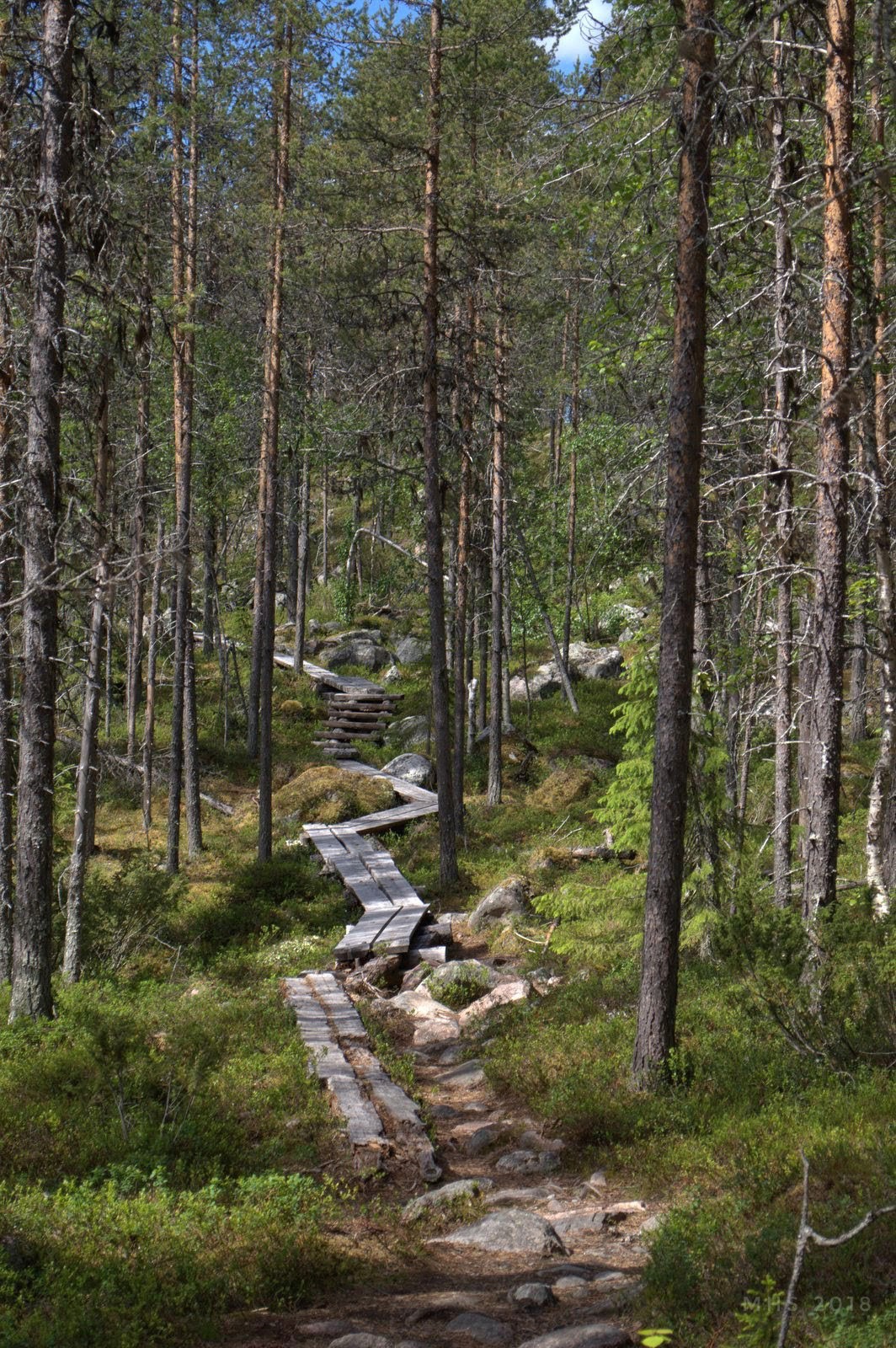 2506-2018-064330119329984987-01