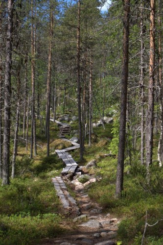 2506-2018-064330119329984987-01