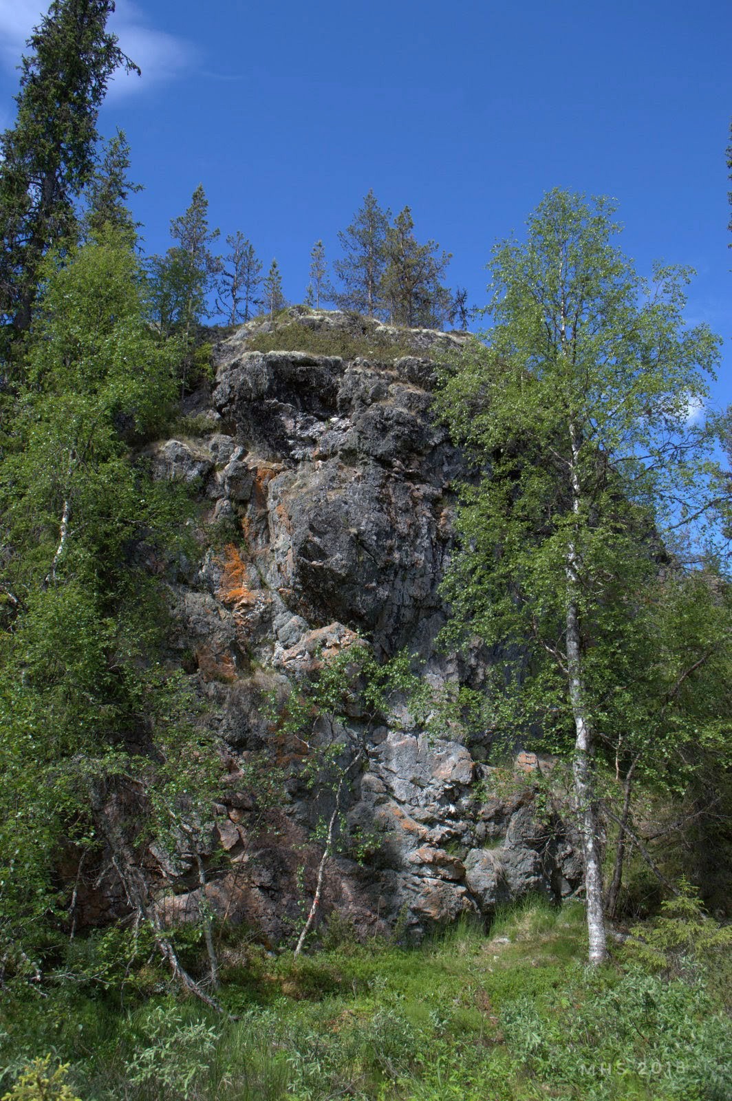 2506-2018-065829331669391357-01