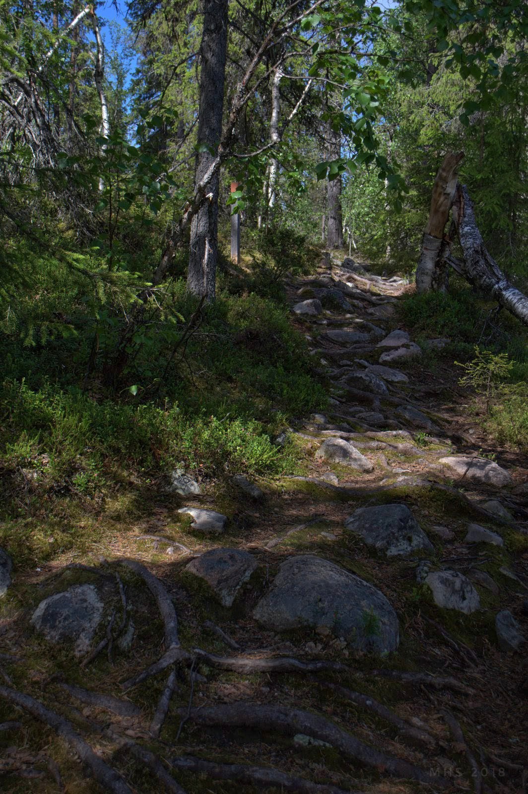 2506-2018-074331378793639482-01