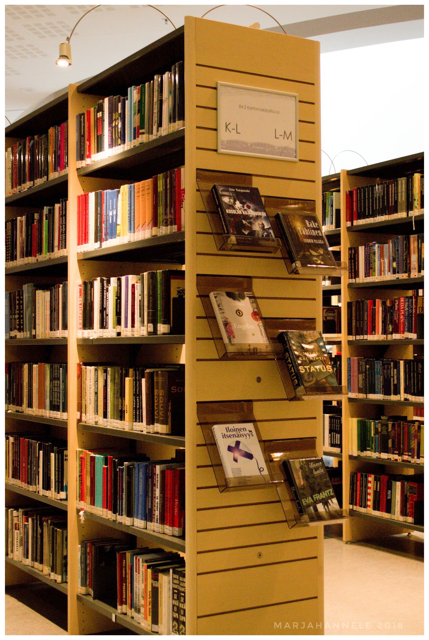 2805-2018-0605245773578234892-01