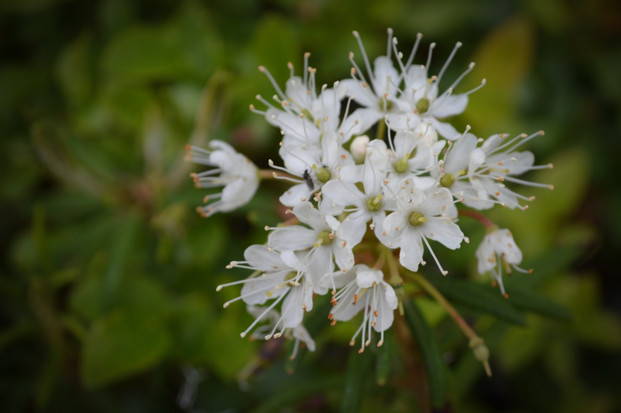 LRM_EXPORT_758760687825031_20190630_155715073