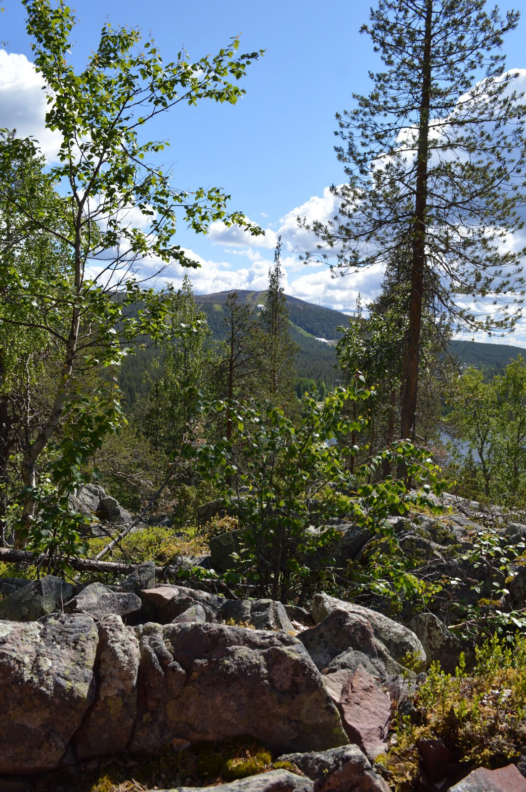 LRM_EXPORT_759670098142288_20190630_161224483