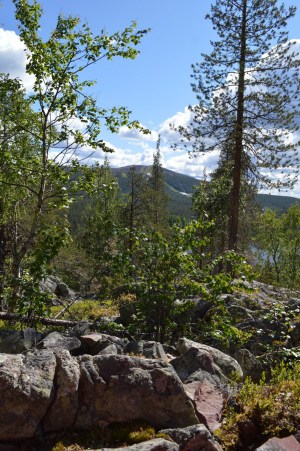 LRM_EXPORT_759670098142288_20190630_161224483