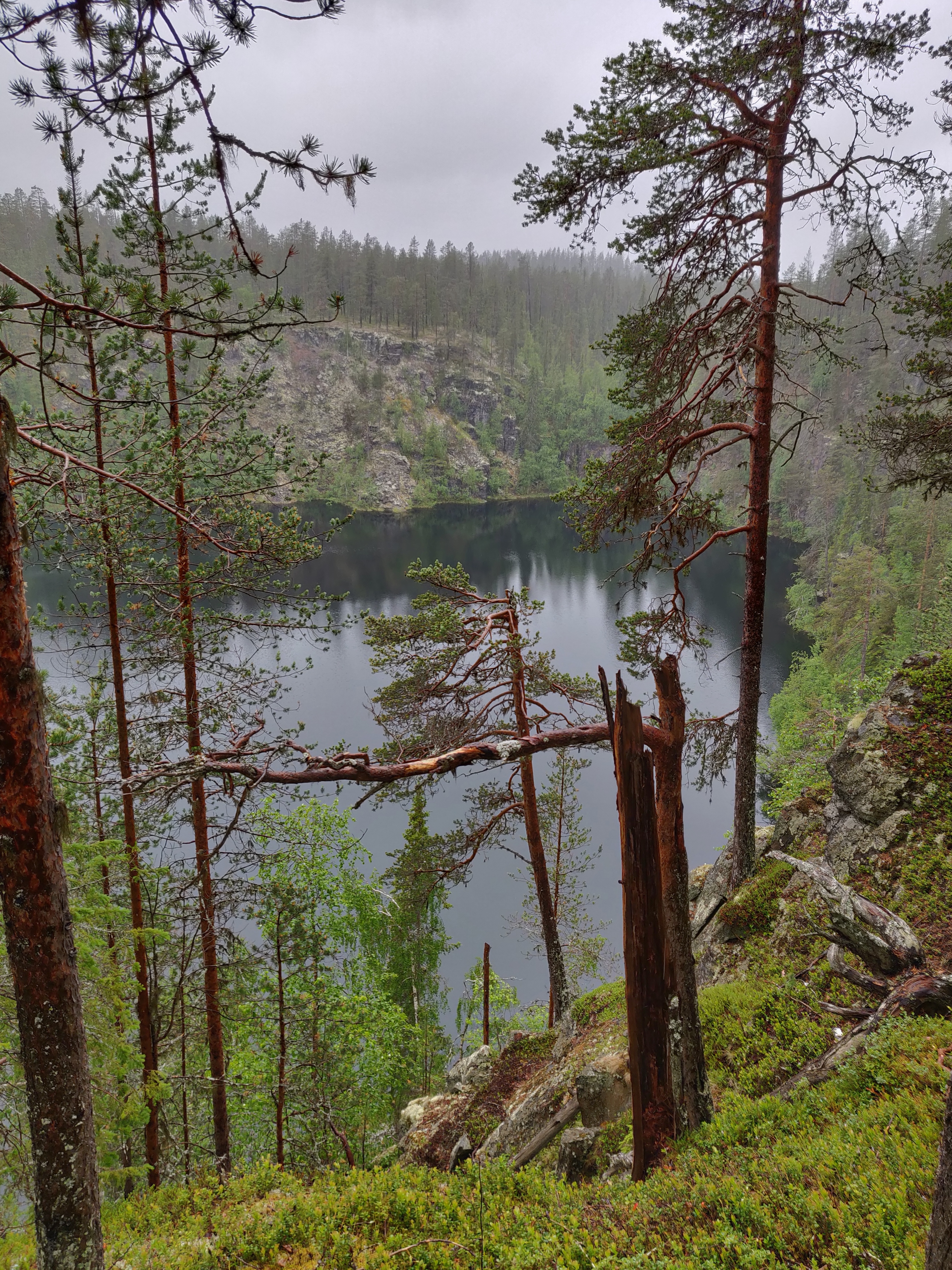 IMG_20190701_121832-01