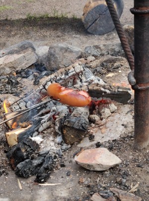 IMG_20190703_131700-01