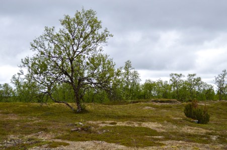 LRM_EXPORT_24883461962797_20190702_180528401