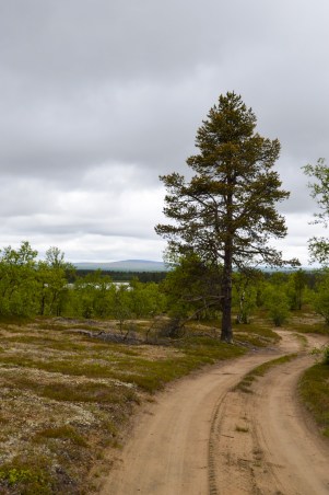 LRM_EXPORT_24963189636152_20190702_180648129