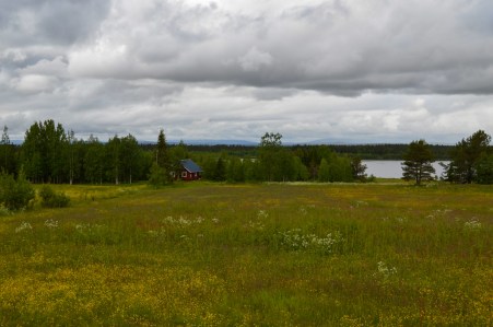 LRM_EXPORT_25187091003723_20190702_181032030