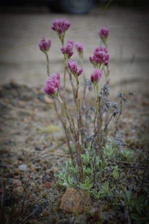 LRM_EXPORT_25224917141000_20190702_181109856