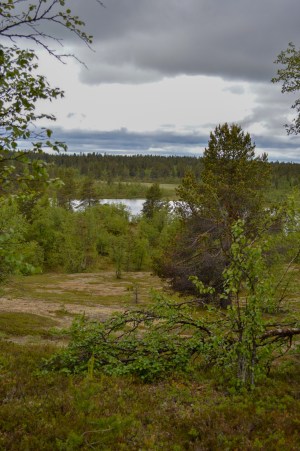 LRM_EXPORT_25651109523285_20190702_181816049