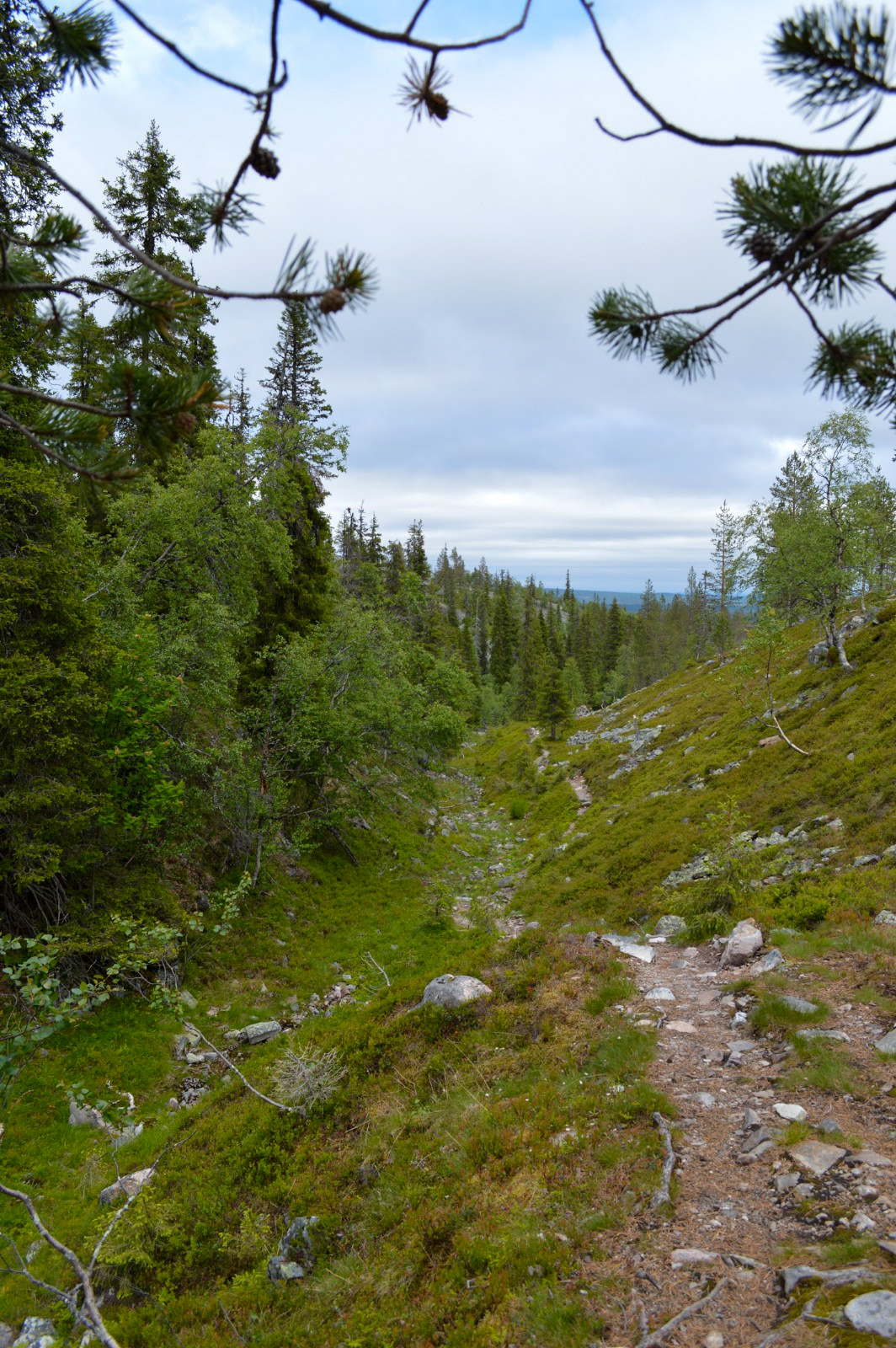 LRM_EXPORT_57460678962922_20190703_195133089