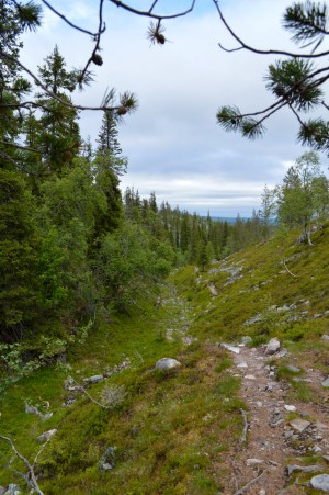 LRM_EXPORT_57460678962922_20190703_195133089