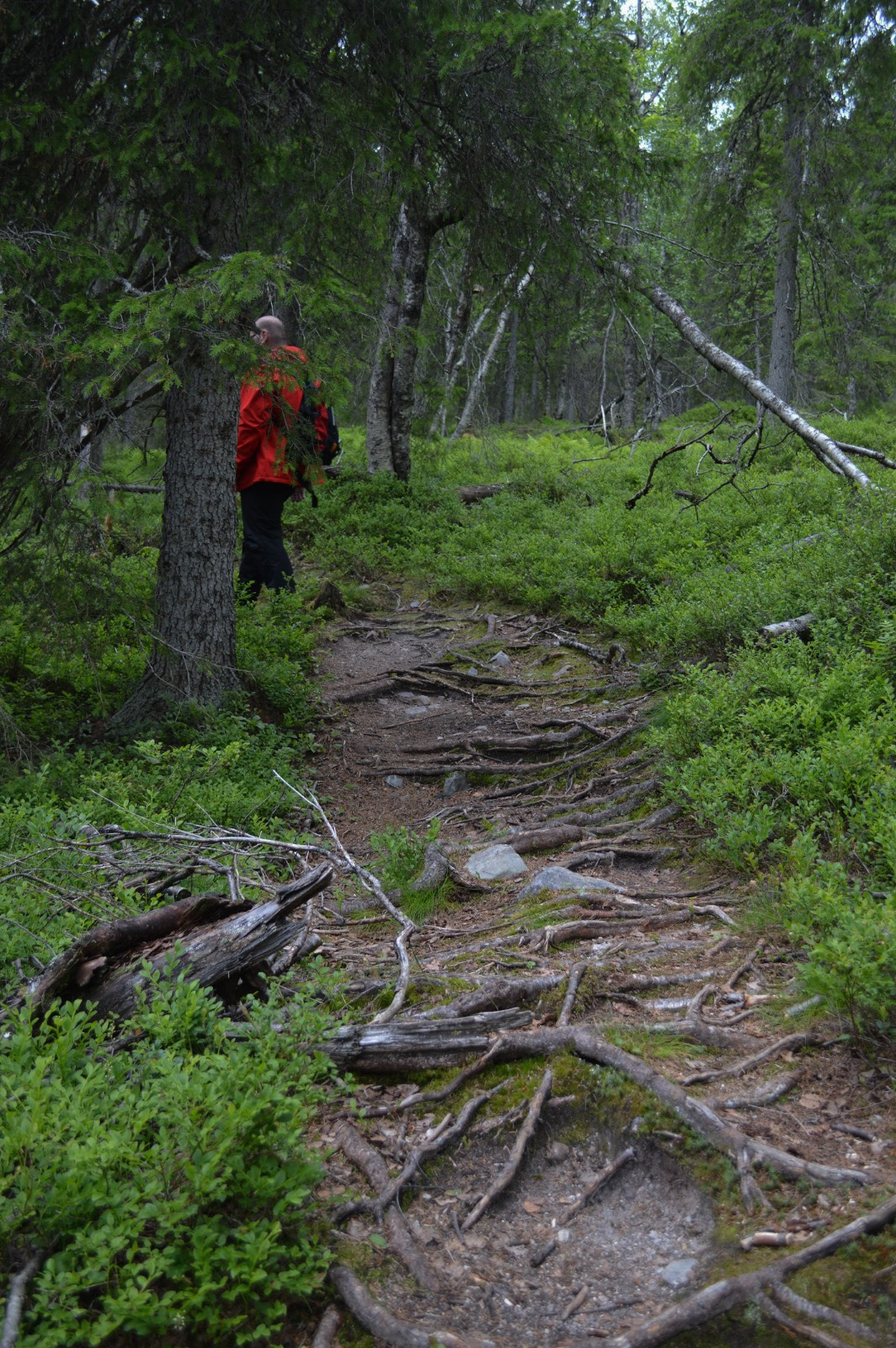 LRM_EXPORT_58272454600164_20190703_200504865