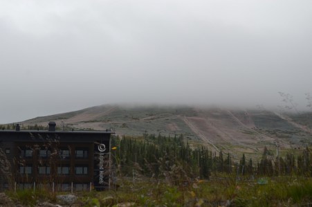 LRM_EXPORT_59450055878725_20190703_204049198