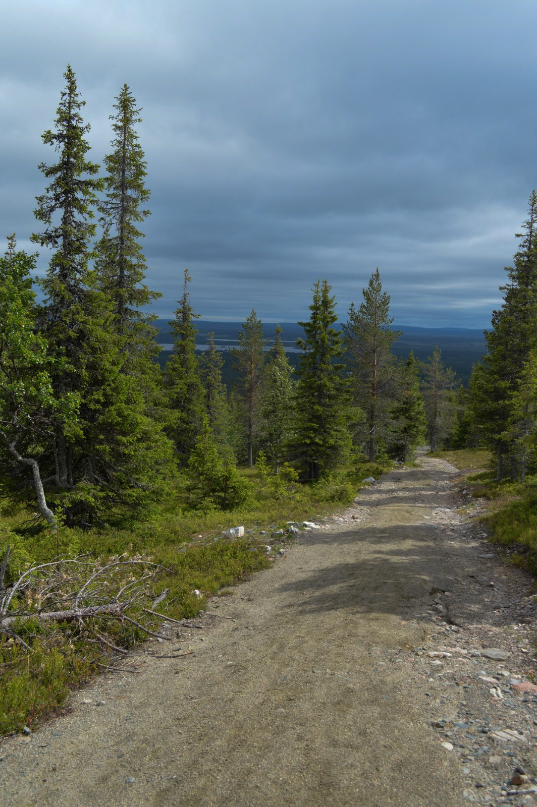 LRM_EXPORT_59983102043730_20190703_204942244