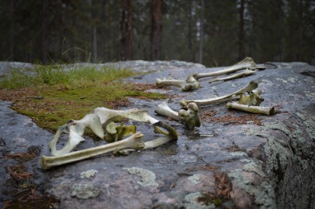 LRM_EXPORT_794485556230465_20190701_182551309