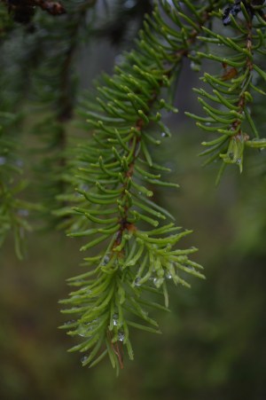 LRM_EXPORT_795017479993335_20190701_184143618